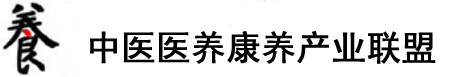 在线观看骚淫大肉棒